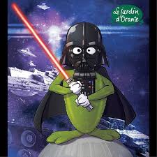 Jardin D Orante On Instagram Jardindorante Aussi A Son Cornichon Jedi Starwars Starwarsforceawakens Starwarspremi Instagram Posts Instagram Darth Vader