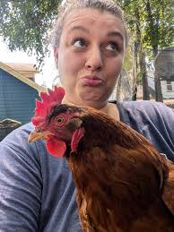 How do you keep out skunks and raccoons from chickens?