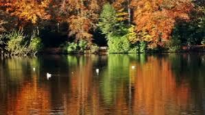 Branston Travel Guide 2026: Top Attractions, Things to Do & Deals |  Trip.com | July 2026