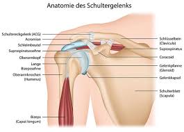 ac gelenksarthrose operation arbeitsunfähig aus