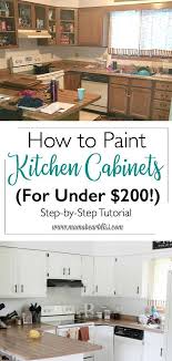 Incredible Kitchen Ideas Post 8257455128 Basic Yet Creative Decor Organi Kitchen Cabinets On A Budget Diy Kitchen Cabinets Painting Painting Kitchen Cabinets