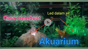 Hiasan aquarium pottery pot bentuk rumah udang untuk sarang penangkaran ornamen akuarium mangkuk ikan. Cara Membuat Lampu Led Untuk Di Dalam Air Akuarium Youtube