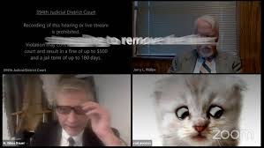 Lawyer accidentally uses cat filter while talking to the judge on a zoom call. I Am Here Live I M Not A Cat Lawyer S Cat Zoom Filter In Front Of Judge In Court Goes Viral Manchester Evening News