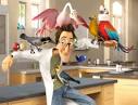 pictures of 2 parrots kissing videos in bedroom