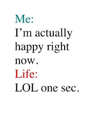 Every Day Funny Quotes About Life Funny Quotes Life Quotes