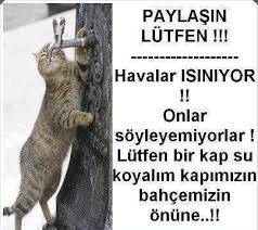 Susuzluk Hayvan Sozleri Hayvan Haklari Evcil Hayvanlar