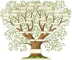 Grâce à ce modèle d'arbre 3 générations à imprimer (format pdf), notez vos parents et grands parents, frères et soeurs, oncles et tantes ! Arbre Genealogique Gratuit A Imprimer Recherche Google Arbre Genealogique Gratuit Arbre Genealogique Arbre Genealogique Imprimable