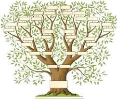 1.sélectionnez l'option ascendants ou descendants 2.sélectionnez la taille du tirage imprimé 3.sélectionnez la. Arbre Genealogique Gratuit A Imprimer Recherche Google Arbre Genealogique Gratuit Arbre Genealogique Arbre Genealogique Imprimable