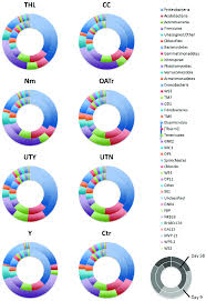 Double Concentric Pie Charts Showing The Changes In Soil