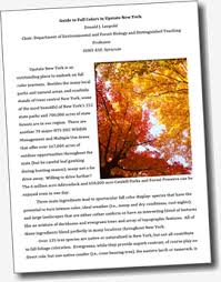 I was in teacher's college at the time, and wouldn't you know a few weeks later we learned about (and did) a science experiment for kids about leaves changing colour. Why Leaves Change Color