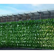 Gambar rumput untuk hiasan dinding. Daun Hias Daun Pagar Rumput Hias Hiasan Dinding Taman Hiasan Pagar Daun Pagar Rumput Dinding Grass Shopee Indonesia