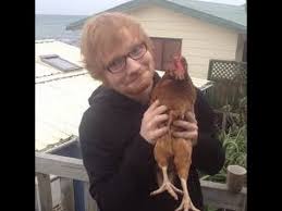 Videos of ed being funny and cute! Ed Sheeran Funny Moments 2015 2 Youtube