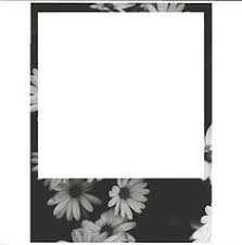 Polaroid Polaroid Bingkai Foto Kolase Foto Latar Belakang