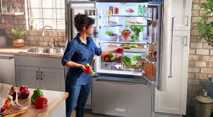 What Is The Optimal Temperature In My Zanussi Fridge Or Freezer? | Zanussi