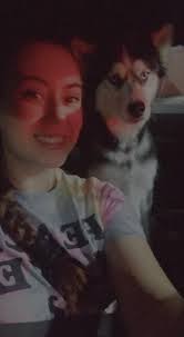 My husky Got out of the backyard yeaterday (05/25/22) independence , mo  live by noland road the firestone and walgreens, please message me if you  seen him or have hime greatly appreciated !