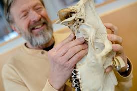 Michigan Tech biologist makes mark