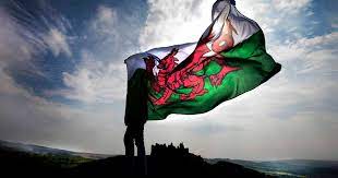 The welsh flag the red dragon which appears on the welsh flag was granted official status in 1959, although it has been used to represent wales on various insignia many years prior to this. The Welsh Dragon The Most Important Object In Welsh History Wales Online