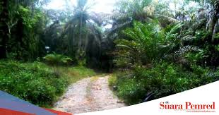 Check spelling or type a new query. Tidak Mampu Bayar Gaji 14 Karyawan Pt Rkp Di Phk Suarapemredkalbar Com