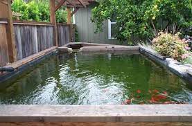 Cara perawatan ikan koi yang baik sebelum memulai budidaya ikan koi ada beberapa tahap yang mesti dilakukan seperti seleksi induk… selengkapnya »cara budidaya. Panduan Lengkap Cara Budidaya Ikan Koi Di Kolam Aquarium