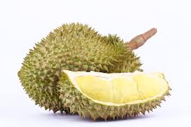 Năng suất khá cao và khá ổn định (140kg/cây/năm đối với cây khoảng 9 năm tuổi), trồng cây ghép sẽ cho trái khá sớm sau 3 năm trồng. Sáº§u Rieng Thai Hay Con Gá»i La Sáº§u Rieng Monthong Dona Vá»±a Trai Cay Binh PhÆ°á»›c