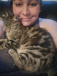 Found Male Tabby Cat in Millsboro Delaware