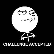 Naughty Cat Apparel Cool T Shirts Funny Tshirts Funny Challenge Accepted