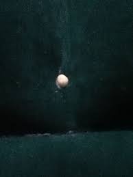 Gorilla Glue Over Small Air Mattress Holes Works Every Time Deflate While Drying Gorilla Glue Air Mattress