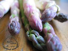 Asperges Choix Preparation Conservation Cuisson Idees Recettes De La Fourchette Aux Papilles Estomaquees Made By Titanick