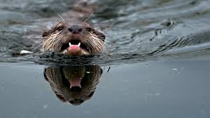 Miley mercier porn get HD nude content from top creators.