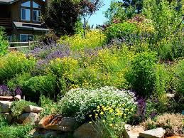 High Altitude Gardening Ditch Gardens And Deck Decorations Sloped Garden Water Wise Landscaping Modern Garden Design
