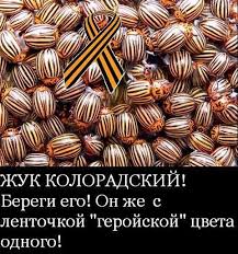 Элита Донбасса готова впустить оккупантов, чтобы и дальше эксплуатировать народ, - Сенченко - Цензор.НЕТ 9266
