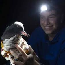 Deep sea microplastics with Justine Barrett