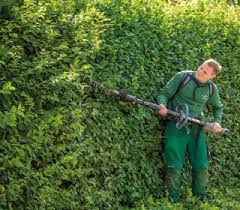 Heckenpflege Gartenpflege Staudenpflege Heckenpflege Inspirationen Haas Ausfreudeamgrun Stauden Hecke Galabau