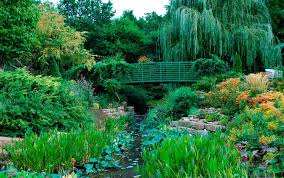 Claude Monets 175 Geburtstag Vater Des Impressionismus Monet Garten Claude Monet Landschaftsgestaltung
