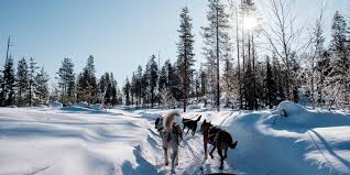 Ota yhteys sivuun finlande liittymällä facebookiin tänään. Voyage Finlande Sur Mesure Comptoir Des Voyages