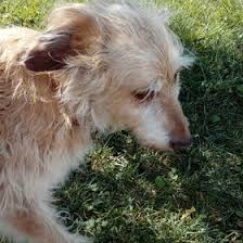 Mary Abarca (maryluzero)