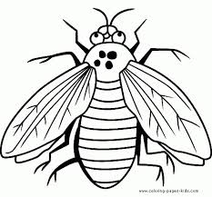 Fly Is A Bug Coloring Sheet Free Printable Letscolorit Com Coloring Pages Animal Coloring Pages Super Coloring Pages