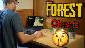 Check spelling or type a new query. The Forest Alle Cheats Im Uberblick Chip
