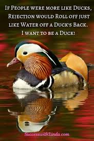 Like water off a duck's back. Be A Duck Happy Fathers Day Custom Holiday Card Dad Holiday