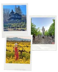 Napa valley may be america's most famous wine country, showcasing more than 400 distinctive wineries. Getaway Guide To Napa Valley Love Loathing Los Angeles