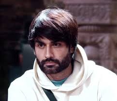 Vivian Dsena in Bigg Boss