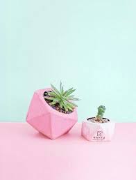 Pin De Ali Sahragard Em Cherish Planos De Fundo Cactos Producao De Arte