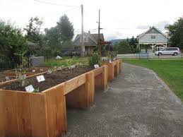 Wheelchair Accessible Community Garden Beds At Gyro Park Community Gardening Sensory Garden Raised Garden Beds