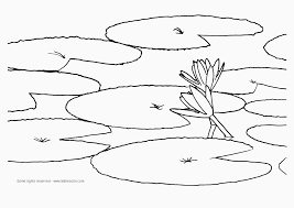 This is a coloring page only and all image rights are reserved. Flowers Coloring Page Of A Water Lily Letmecolor