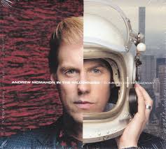 Andrew McMahon In The Wilderness