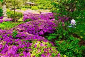 Hallo an alle, suche für mein sonniges beet pflanzen, die nicht gar so durstig sind. Gartenpflanzen Die Wenig Wasser Brauchen