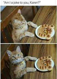 Am I A Joke To You Karen Funny Cats Catmemes Funny Animal Pictures Cute Funny Animals Animal Memes