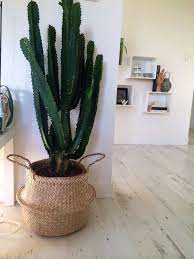 Por suerte para estas plantas y para nuestro hogar, la moda. Pin En Decoracion Decoration Home