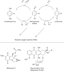 Quinones An Overview Sciencedirect Topics