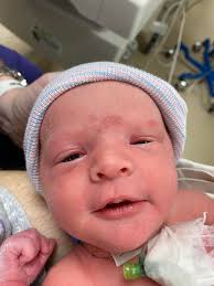 Saw this and instantly started naming them....Robin, Christin, Magdalena,  Lorna & Cindy